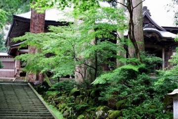 <p>Beautiful temple building in the shadow of green trees</p>