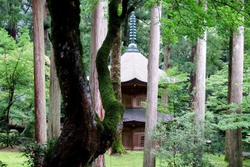 <p>Graceful view of two-storied pagoda, 'Hōontō', seen through tall cedar trees</p>