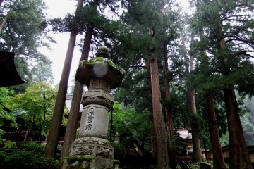 Stone lantern and Kara-mon gate just after rain. The white dot on the stone lantern is not a halo, but a rain drop on my camera lens