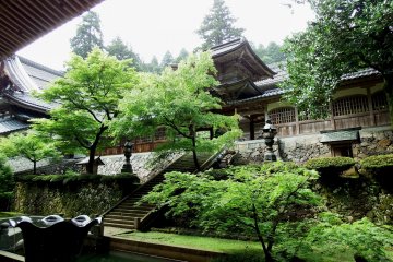 Green leaves in garden and 'Chujakumon Gate' in sunshine after rain