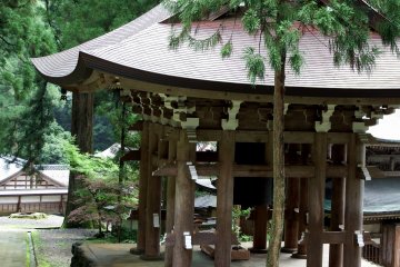 <p>Apart from the tolling on New Year's Eve, it's struck four times a day by a monk regularly (morning, noon, afternoon and night)</p>