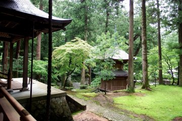 <p>Belfry, pagoda and green forest</p>