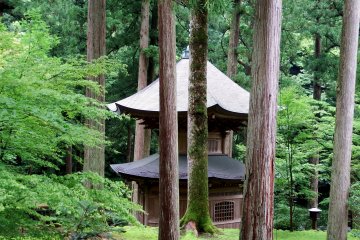 <p>Pagoda surrounded by tall cedar trees</p>