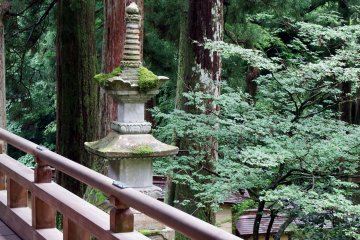 <p>Moss-covered stone monument and green trees viewed from a corridor of 'Shidōden'</p>