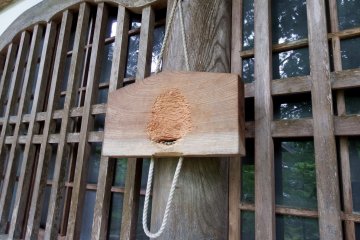 <p>What's this?</p>