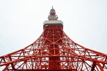 In Love With Tokyo Tower