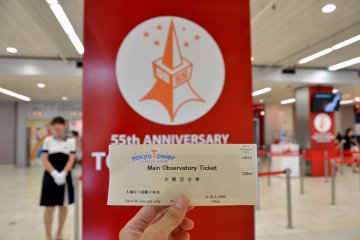 <p>Ticket for the Main Observatory</p>