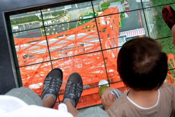 <p>Standing on the "Lookdown Window"</p>