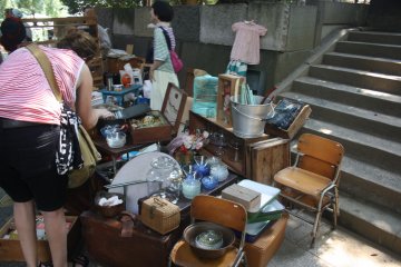 <p>Foraging for bargains</p>