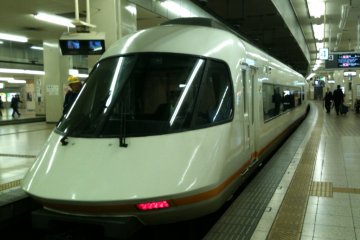 The Shima liner