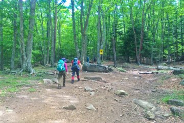<p>The start of the trailhead at 'Mizugaki Sansou'</p>