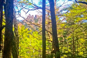<p>The first view of Mount Mizugaki, albeit partially obscured&nbsp;</p>