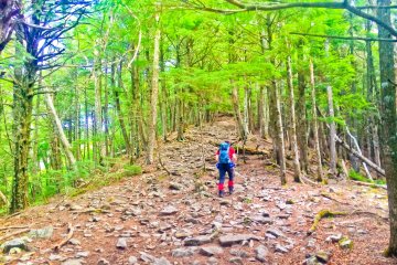 <p>Up and away, heading towards our next target point</p>