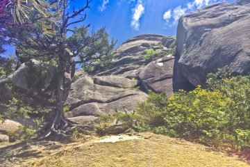 <p>The 'mini canyon' of 'Ohi-iwa'</p>