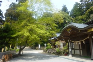 Shrine at the start of the hike