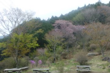 Tsutsujigaoka