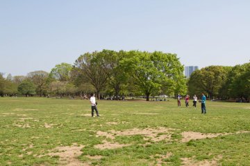 Large open space ideal for playing