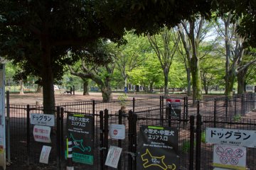 Dog run
