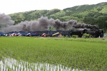 An event where horses run alongside a steam engine