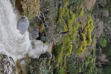 Path