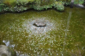Wishing Rock