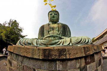 <p>This is the front of the Buddha statue which is made of bronze so it gets very hot in the summer time.&nbsp;</p>