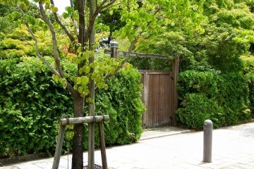 <p>Another gate of Yokokan Garden on the opposite side of the main entrance of Yokokan Villa. From here, Fukui History Museum is just a stone's throw away!</p>