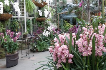 Orchids and flowers of all shapes, sizes and varieties can be enjoyed year round