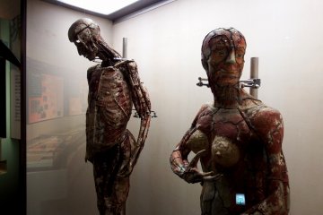 <p>Spooky paper-made anatomical manikins. They were imported from France in the 19th century, which indicates the medical level of Fukui at the time!?</p>