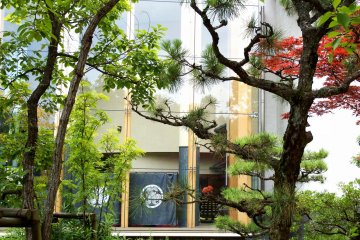<p>Peeping at the windows of Fukui City History Museum through the trees. You can see the white crest of the&nbsp;Fukui Matsudaira Clan printed on a blue Japanese curtain</p>