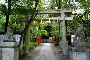 <p>The path leads under a stone torii</p>