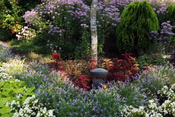 <p>Flowers meticulously arranged produce a beautiful atmosphere</p>