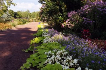 <p>Strolling along one of the walkways</p>