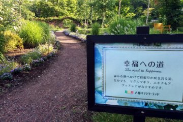 <p>The "Road to Happiness" actually stops after a few minutes. You can think A) happiness leads nowhere or B) you make you own road to happiness</p>