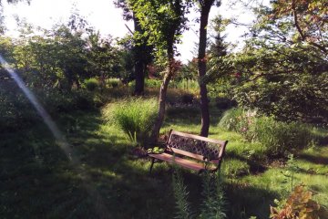 <p>Many secluded benches to sit and ponder, enjoy the scenery, or have a private conversation</p>