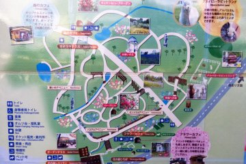 <p>A map of the area</p>