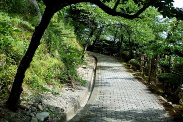 <p>To get to the castle on top of the hill, you'll climb up a mild paved slope with trees on both sides</p>