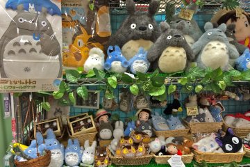 <p>Totoro&nbsp;plush toys are so kawaii, you'll have trouble deciding on which one to get.</p>