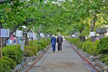 <p>From the ground up, the bonbori festival is such a work of art!</p>