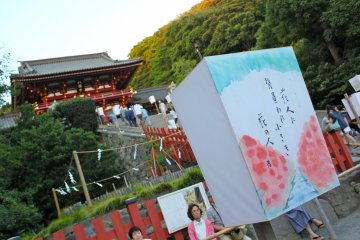 <p>Cherry tree blossom by day</p>