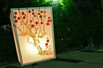 <p>Cherry blossom tree....by night.</p>