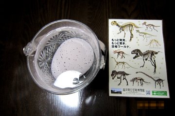 DAY 1: Dinosaur Egg bought at the souvenir shop of Fukui Dinosaur Museum. The instruction says I should put the egg into water and wait...
