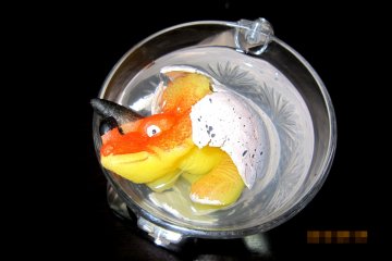 DAY 8: Now I can see you my dinosaur boy! Wow! he is cracking the egg by himself!