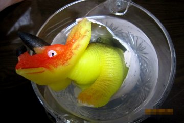 DAY 11: Hey! You made it! Welcome to the world my baby dinosaur!