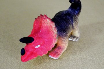 This is my 'Dinosaur Boy' born in Fukui three years ago. Would you like to know how he was born?