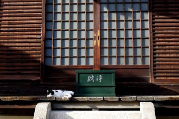 Anrakuju-in Temple in Fushimi