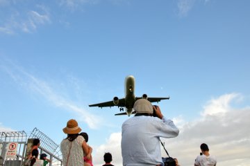 <p>Catching a shot of the landing plane</p>