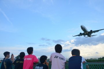 <p>Plane-watching</p>