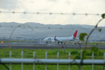 <p>A plane landing at the Osaka-Itami airport</p>