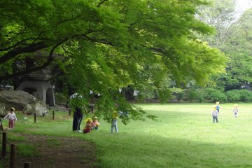 A grove of trees surrounds the lawn and encircles the premises. I felt a comfortable breeze and peaceful respite in the garden.